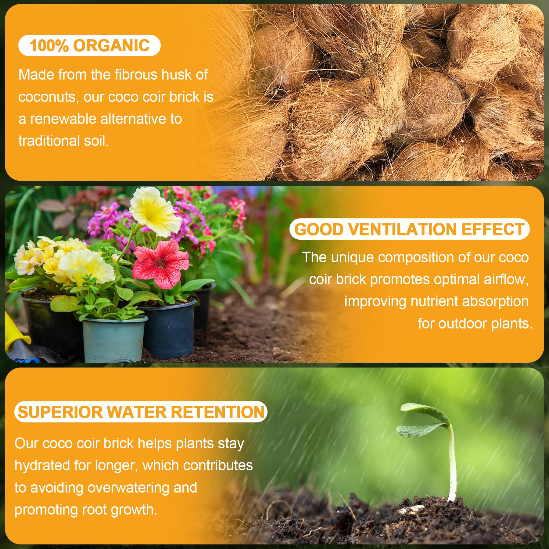 Miuwauer Organic Coco Coir Brick being soaked reveals fluffy growing medium rich in nutrients.