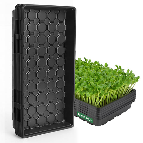 MIXC 1020 seed starter trays no-hole for clean, organized germination.