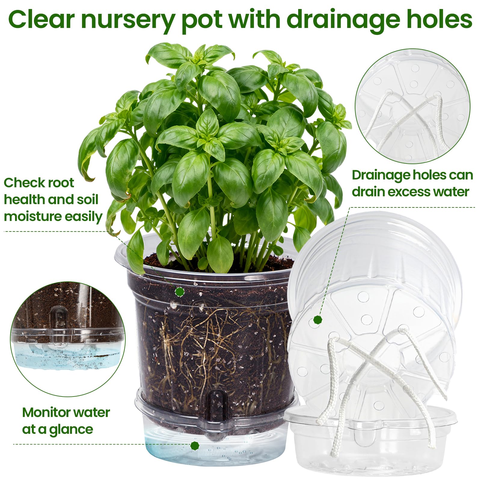 Drainage-enabled MIXC pot with detachable bottom saucer protects surfaces.