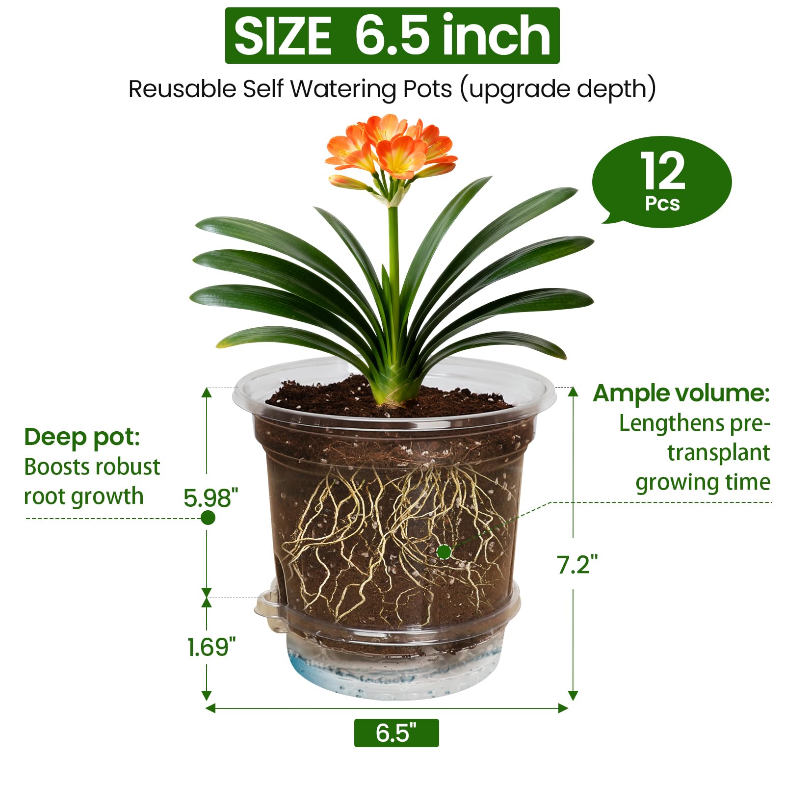 MIXC easy-transplant squeeze-walls support delicate seedlings.