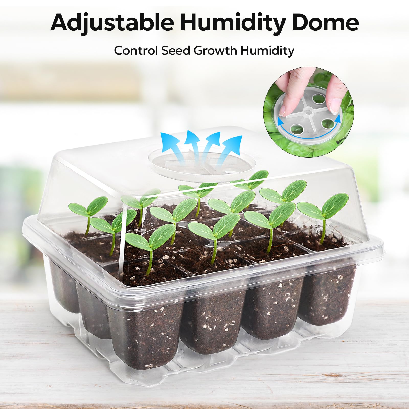 MIXC base mini greenhouse provides stable support for young plants.