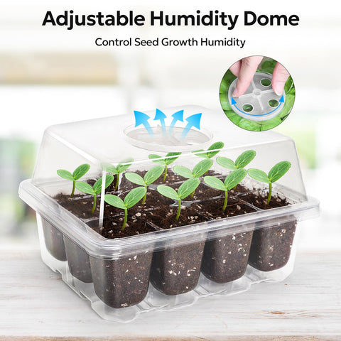 MIXC base mini greenhouse provides stable support for young plants.