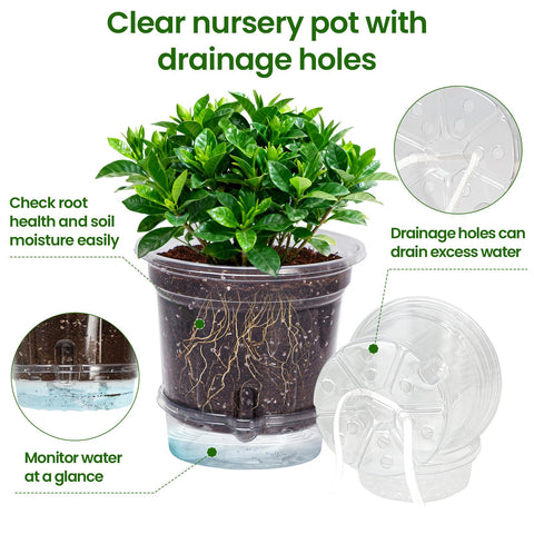 MIXC 4 inch pot facilitates easy transplant with visible roots