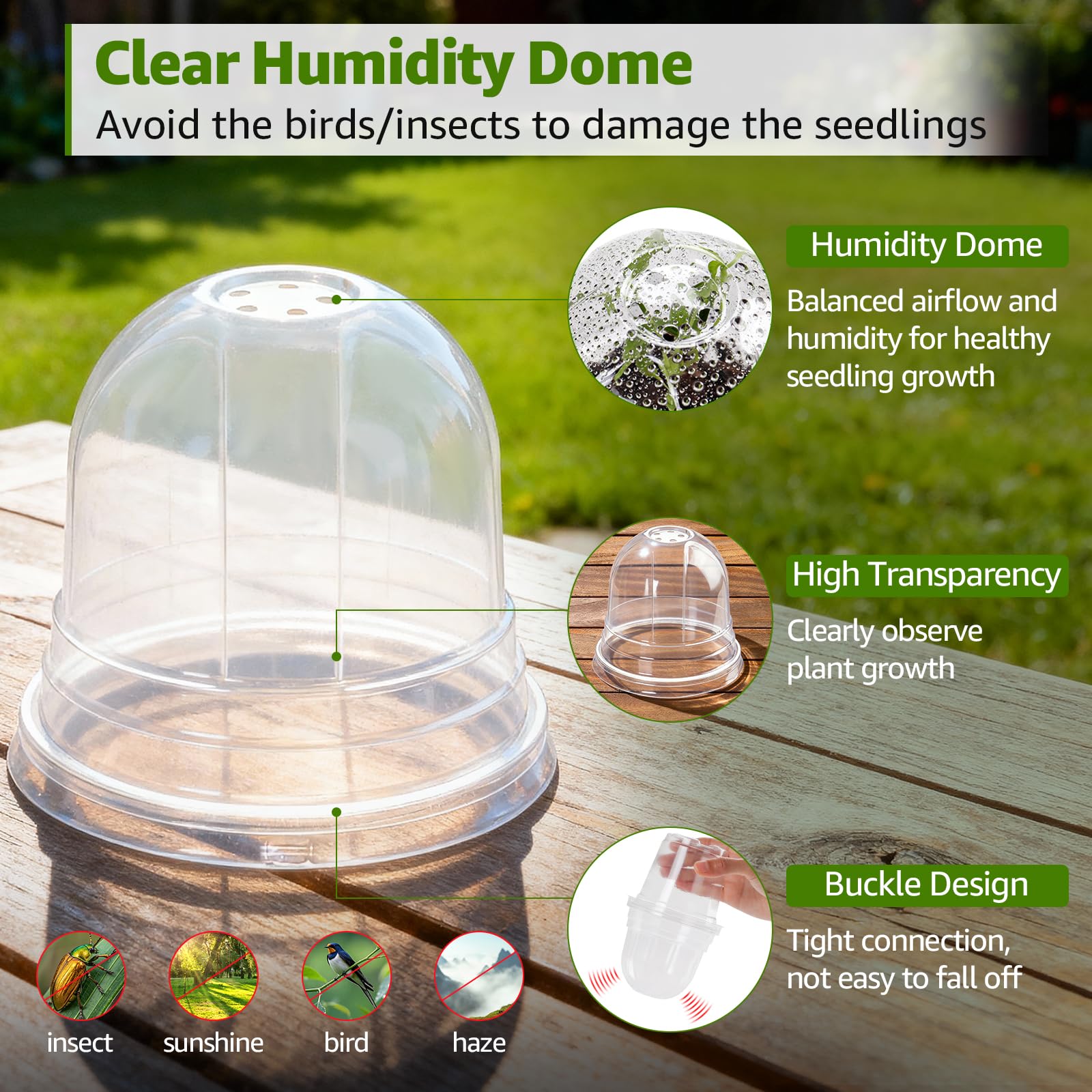 MIXC Clear Nursery Pot drainage-holes design enables proper water drainage for healthy roots