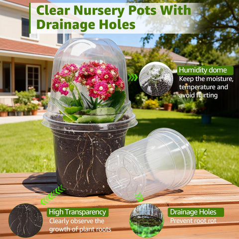 MIXC Clear Nursery Pot 3.5-inch with humidity dome supports germination and airflow