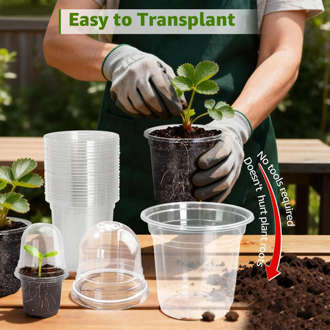 MIXC Clear Nursery Pot reusable PET plastic supports extended seed-starting use