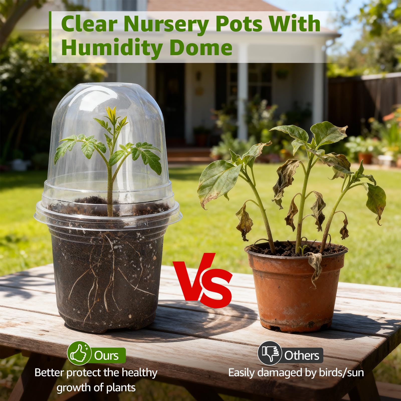 MIXC Clear Nursery Pot root-monitoring view makes root checks quick and intuitive