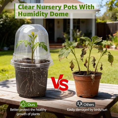 MIXC Clear Nursery Pot root-monitoring view makes root checks quick and intuitive
