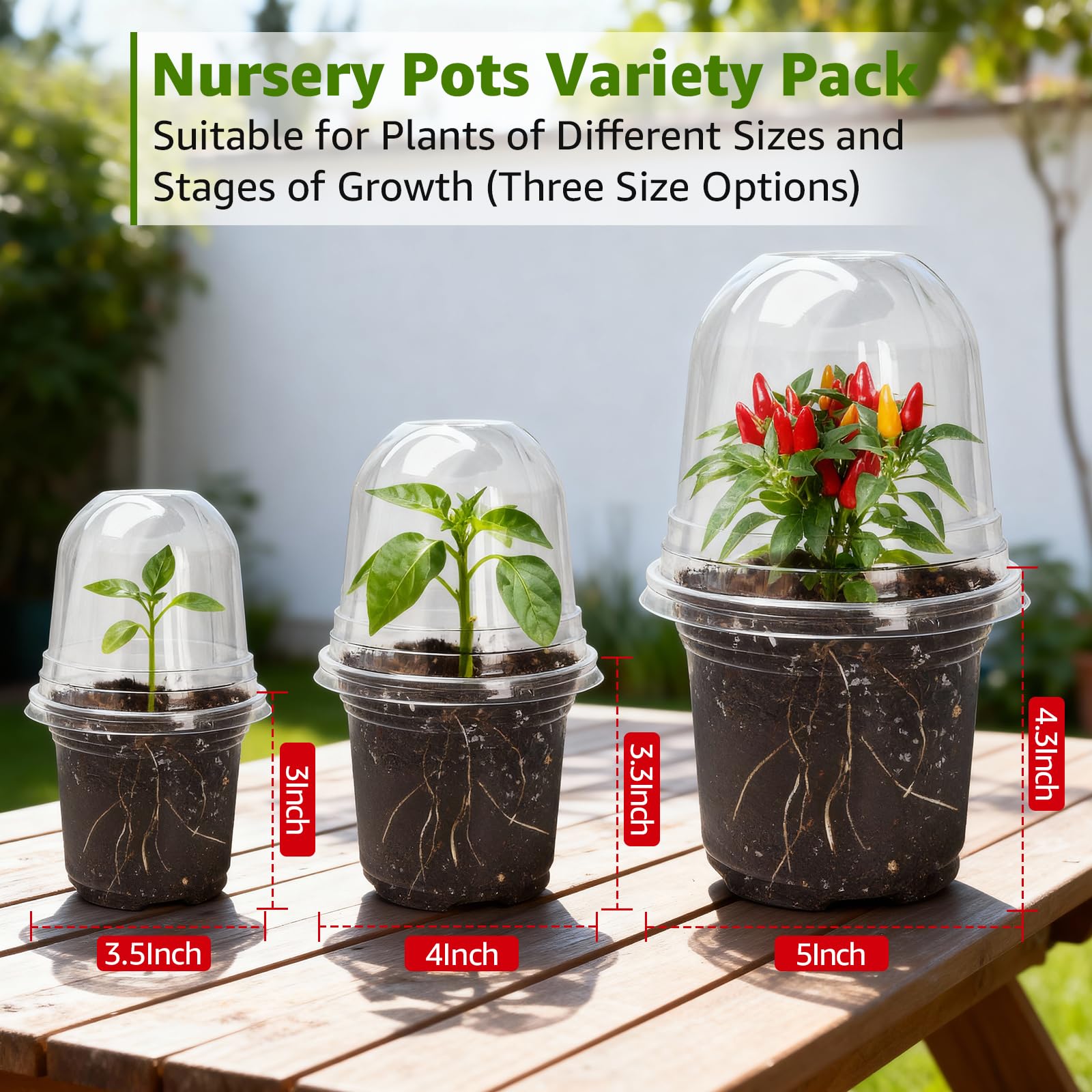 MIXC vented humidity-dome close-up highlights adjustable airflow for seedlings