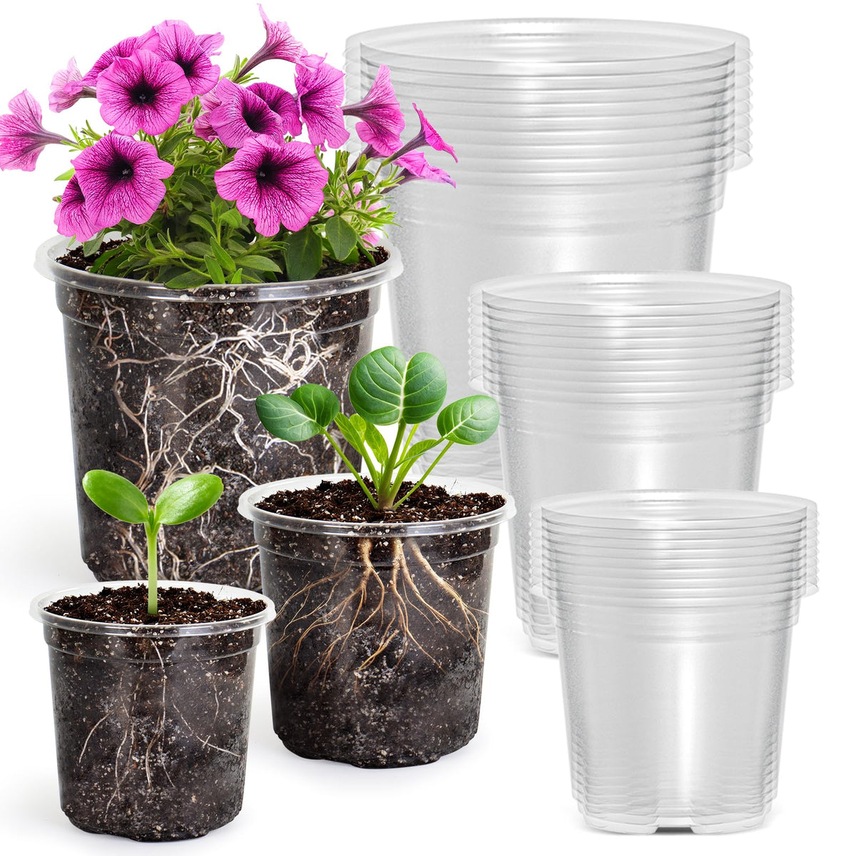 MIXC Clear Nursery Pots in three sizes for versatile seed starting