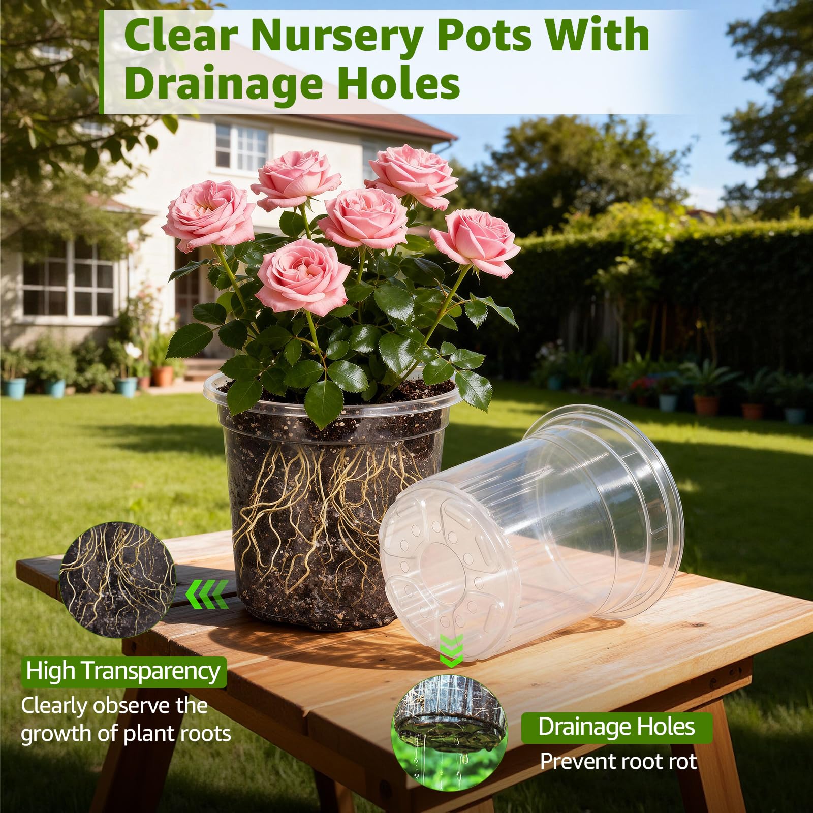 MIXC Clear Nursery Pots provide transparent view of roots and moisture