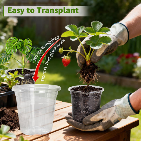 MIXC Clear Nursery Pots durable PET material for reuse