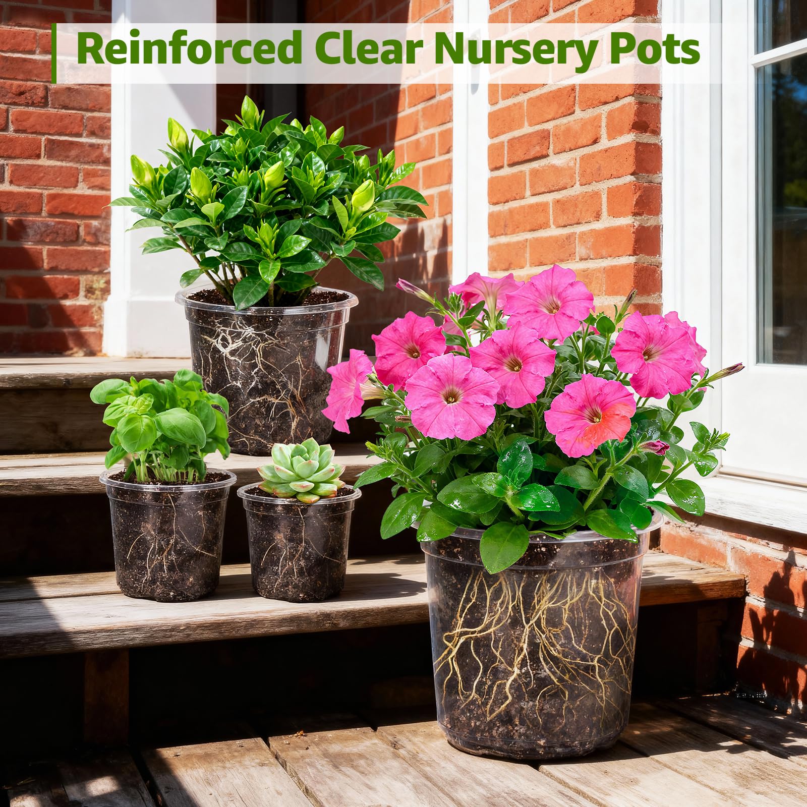 MIXC Seedling pots designed for indoor and outdoor use