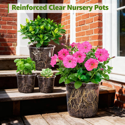 MIXC Seedling pots designed for indoor and outdoor use