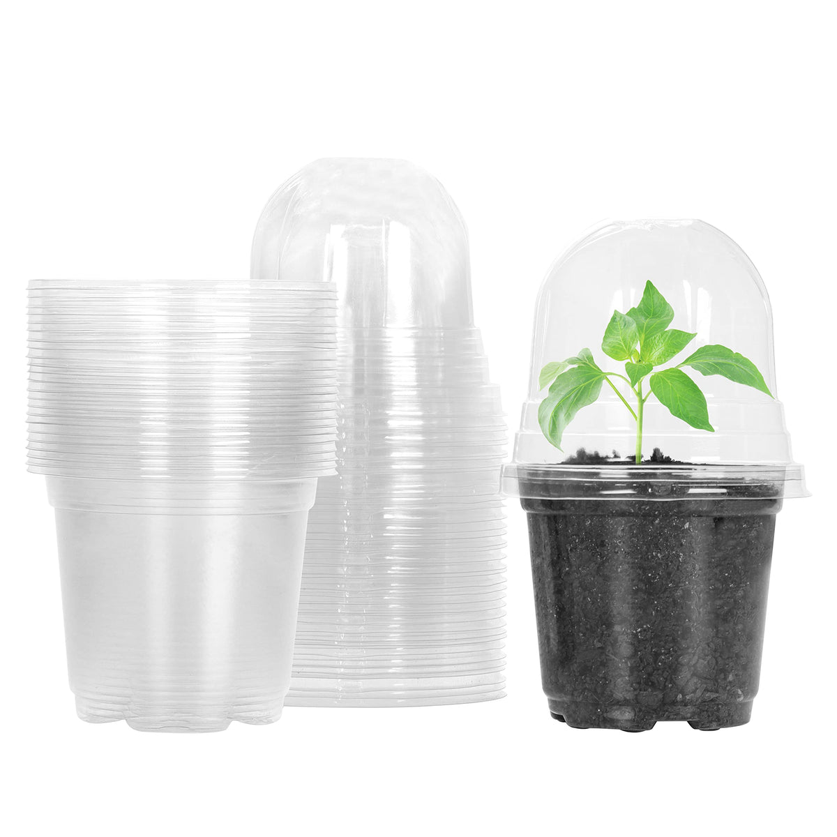 MIXC clear nursery pot with humidity dome for controlled germination moisture.