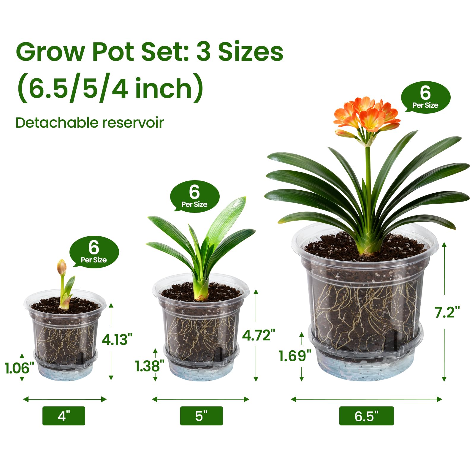 MIXC detachable bottom saucer prevents spills and overwatering