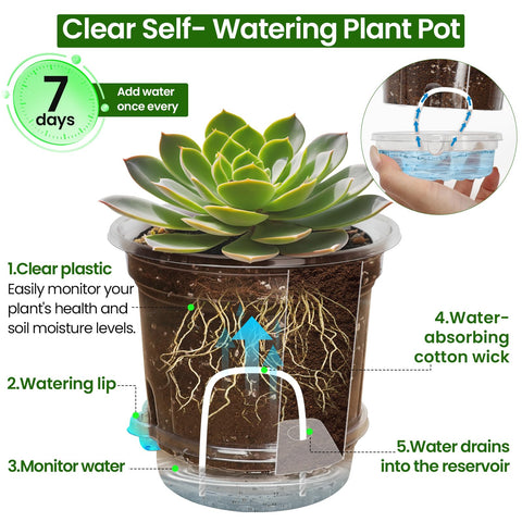 MIXC detachable reservoir shows water level for hassle-free watering.