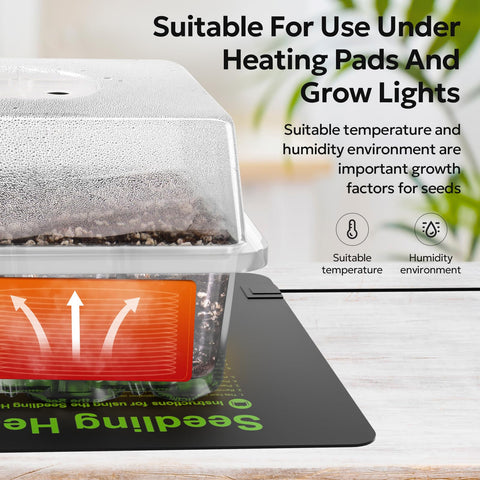 MIXC humidity-dome clear lid for steady moisture during germination.