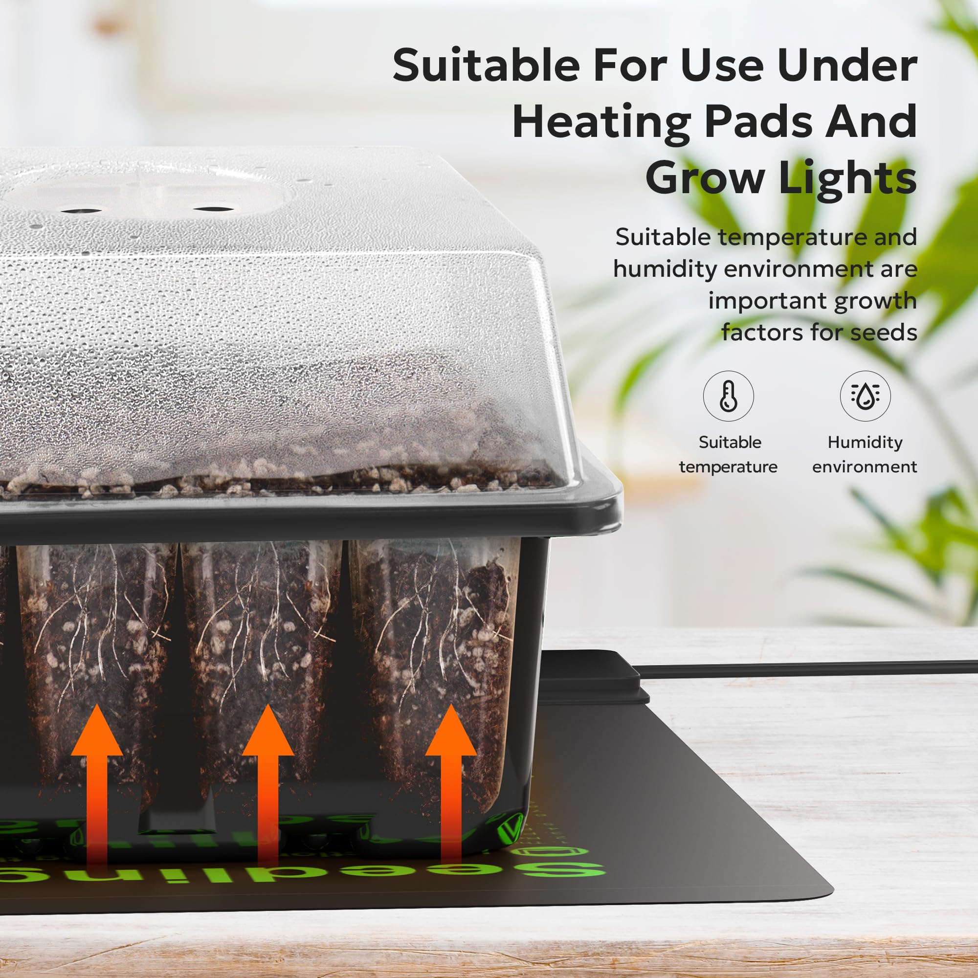 MIXC humidity dome maintains stable moisture for even germination