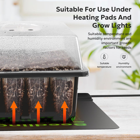 MIXC humidity dome maintains stable moisture for even germination