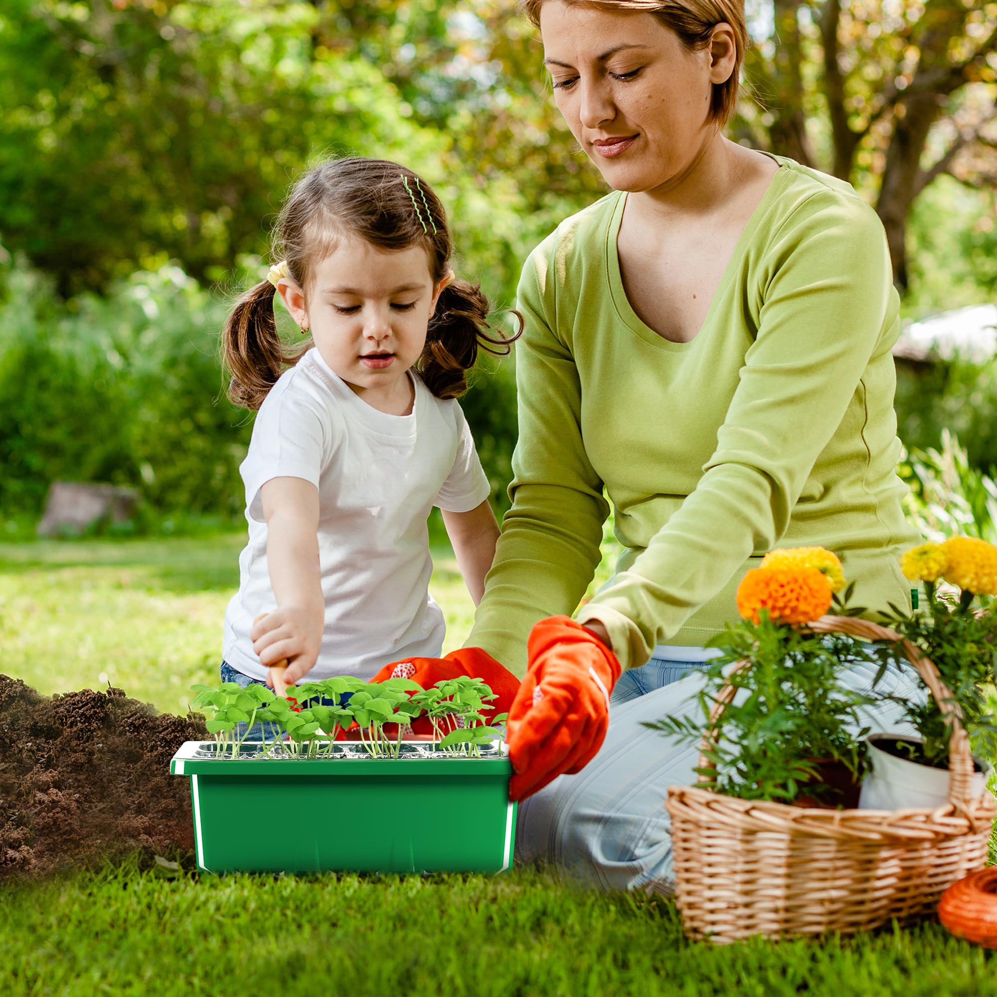 MIXC humidity dome with trays provides a contained germination environment.