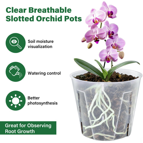 MIXC indoor-outdoor orchid pot supports versatile placement from living rooms to balconies.
