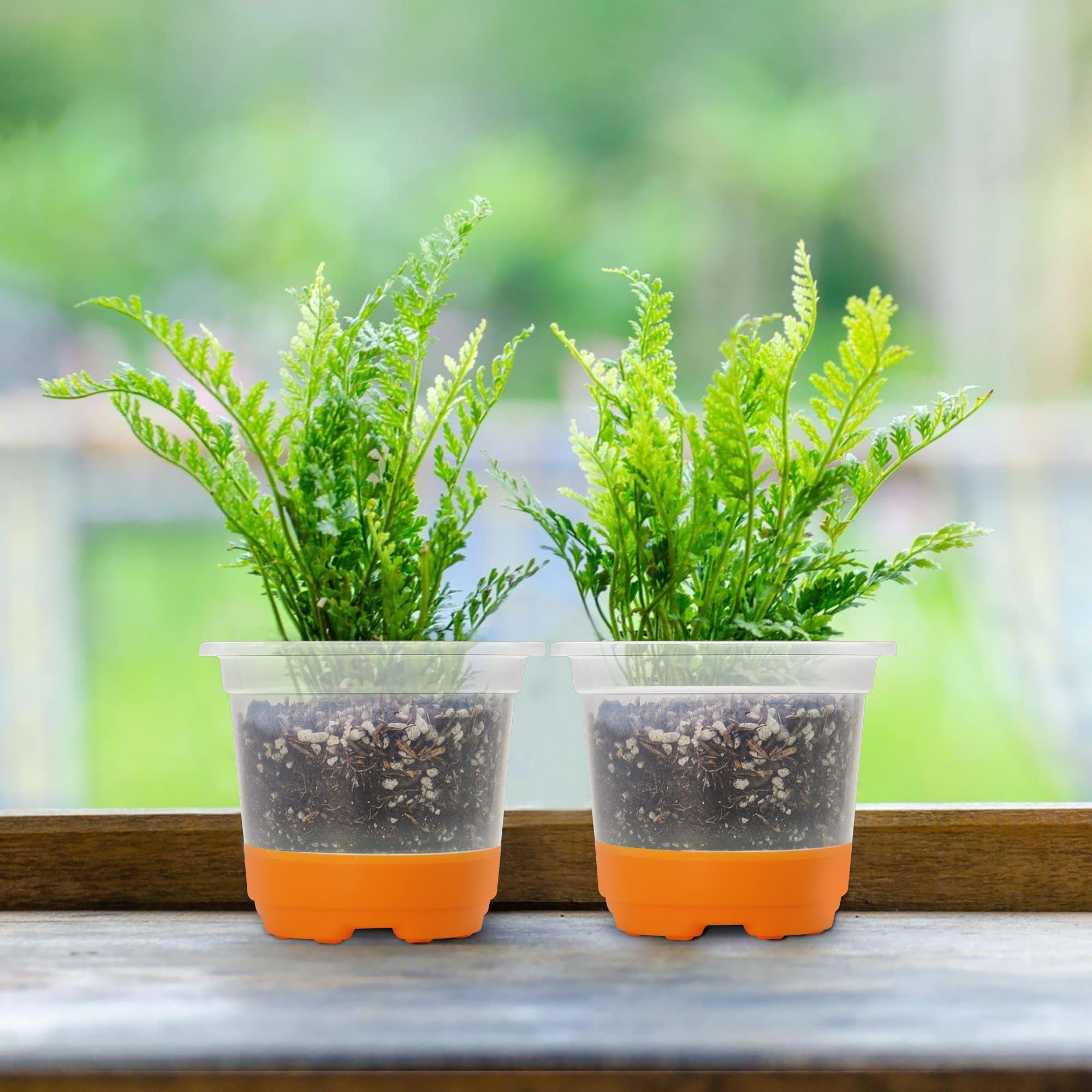 MIXC orange packaging highlights easy identification and storage of nursery pots