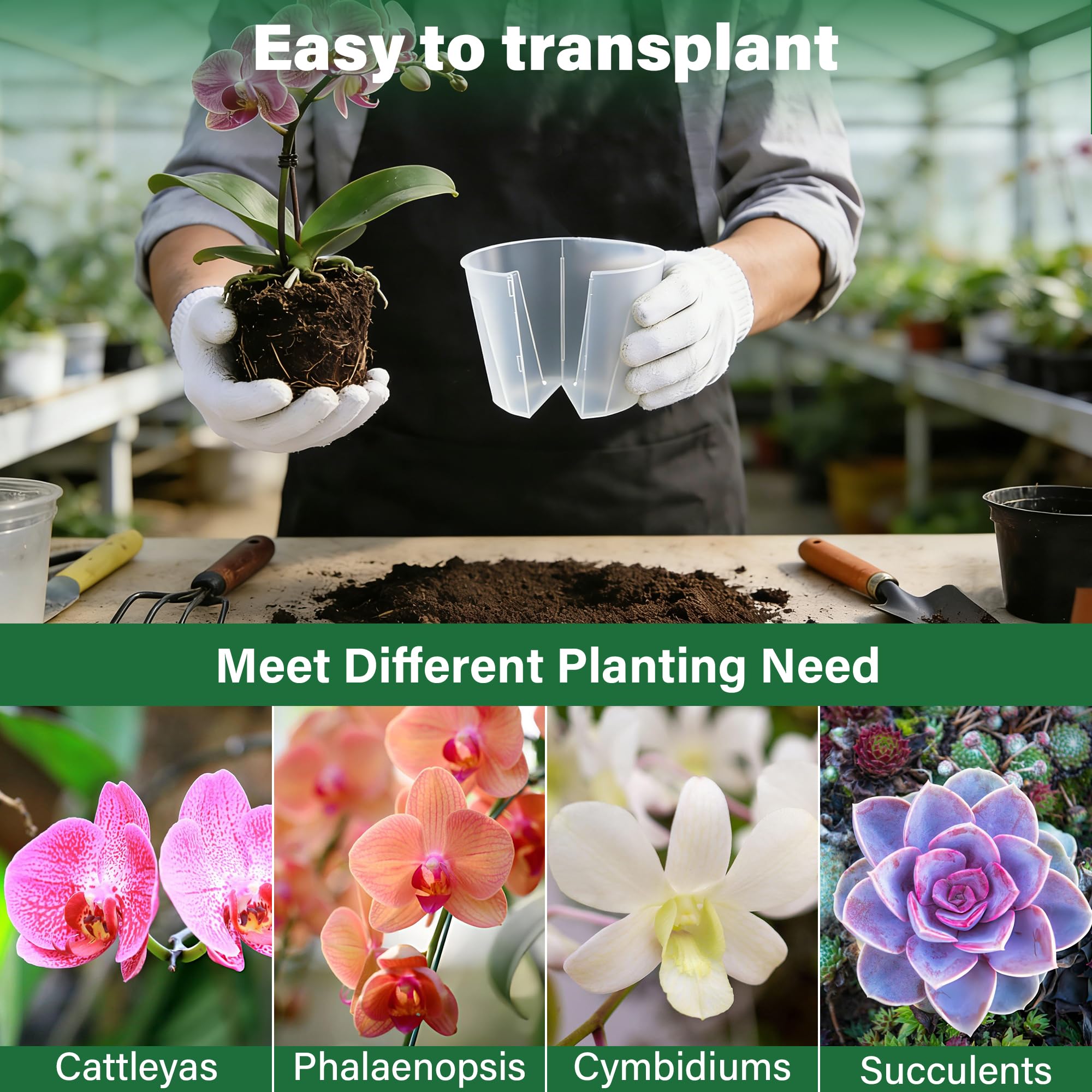 MIXC pack of 12 clear pots for organized planting projects and nursery setups.