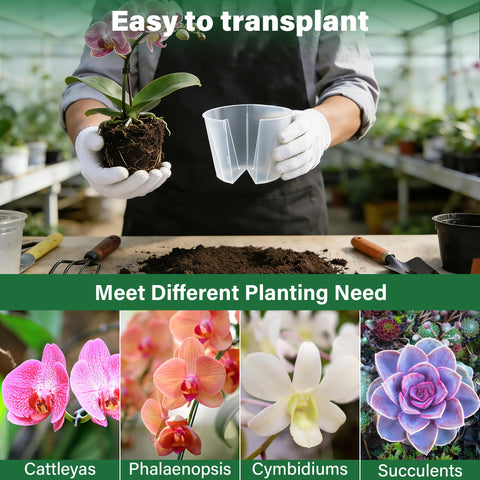 MIXC pack of 12 clear pots for organized planting projects and nursery setups.