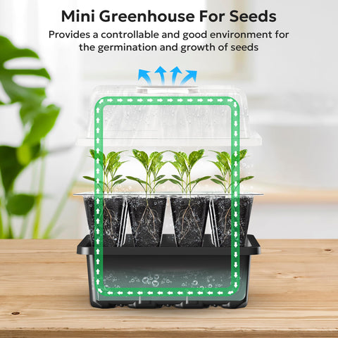 MIXC plant labels included to track seed varieties during germination