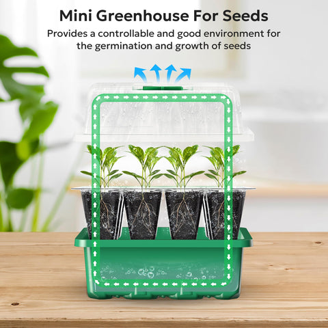 MIXC plant labels help organize species during early germination.