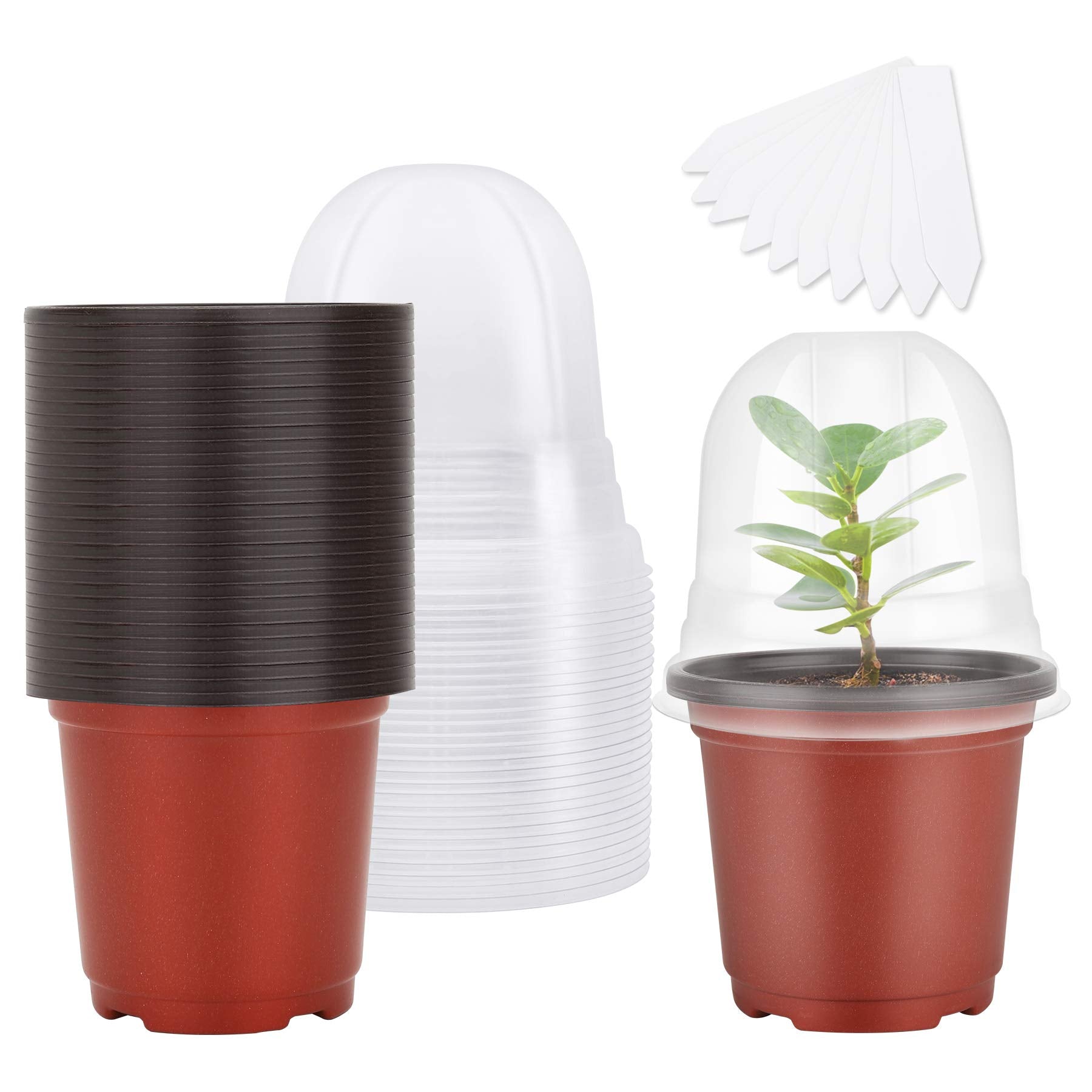 MIXC plant nursery pot with humidity dome supports germination.