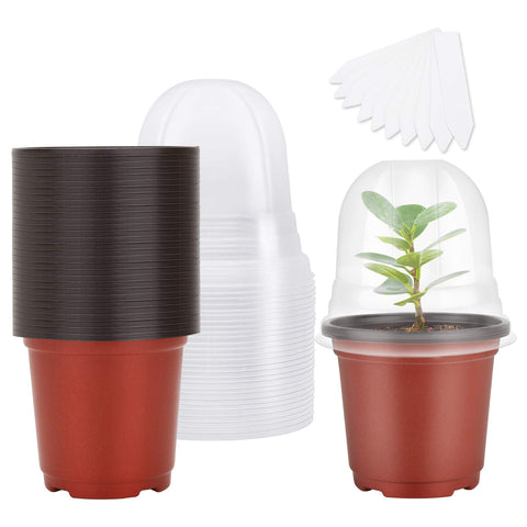 MIXC plant nursery pot with humidity dome supports germination.