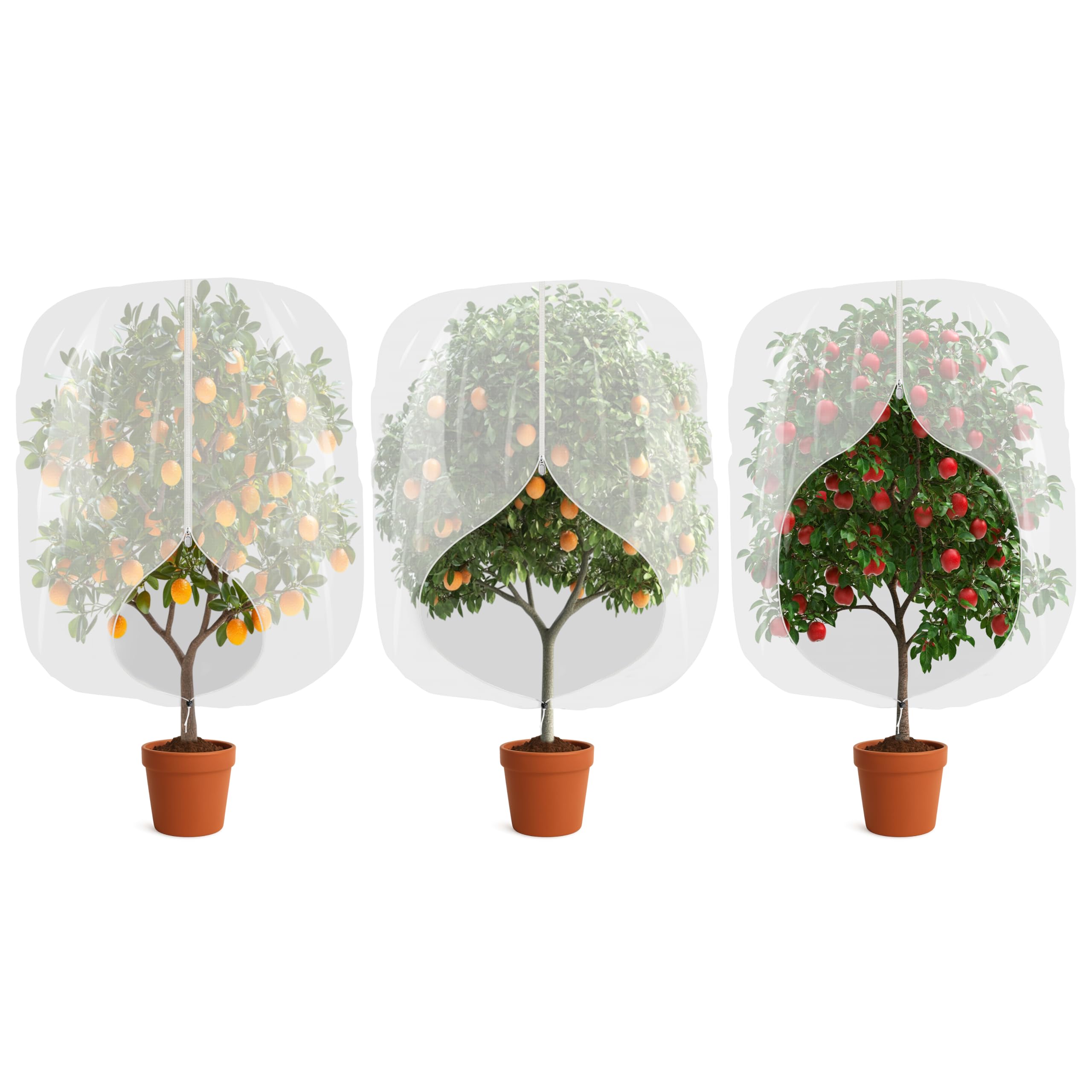 MIXC protects blueberry tomato and strawberry crops from intruders