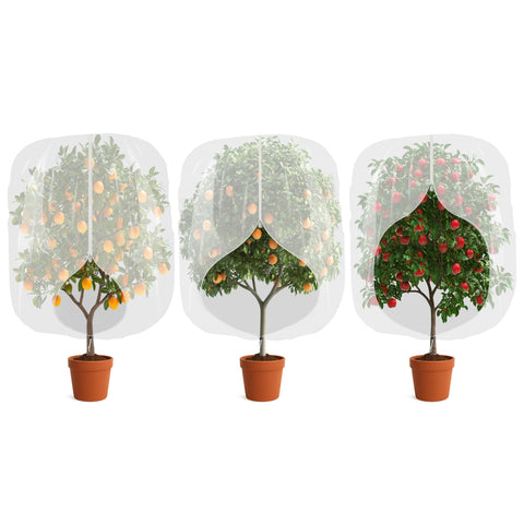 MIXC protects blueberry tomato and strawberry crops from intruders