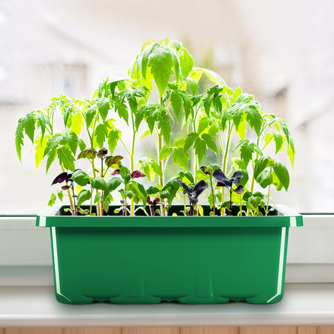 MIXC reusable seed trays designed for multiple growing seasons.