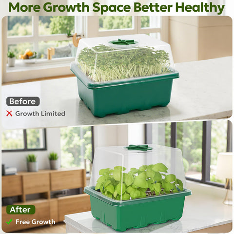 MIXC Seed Starter Kit drainage holes prevent overwatering and root issues.