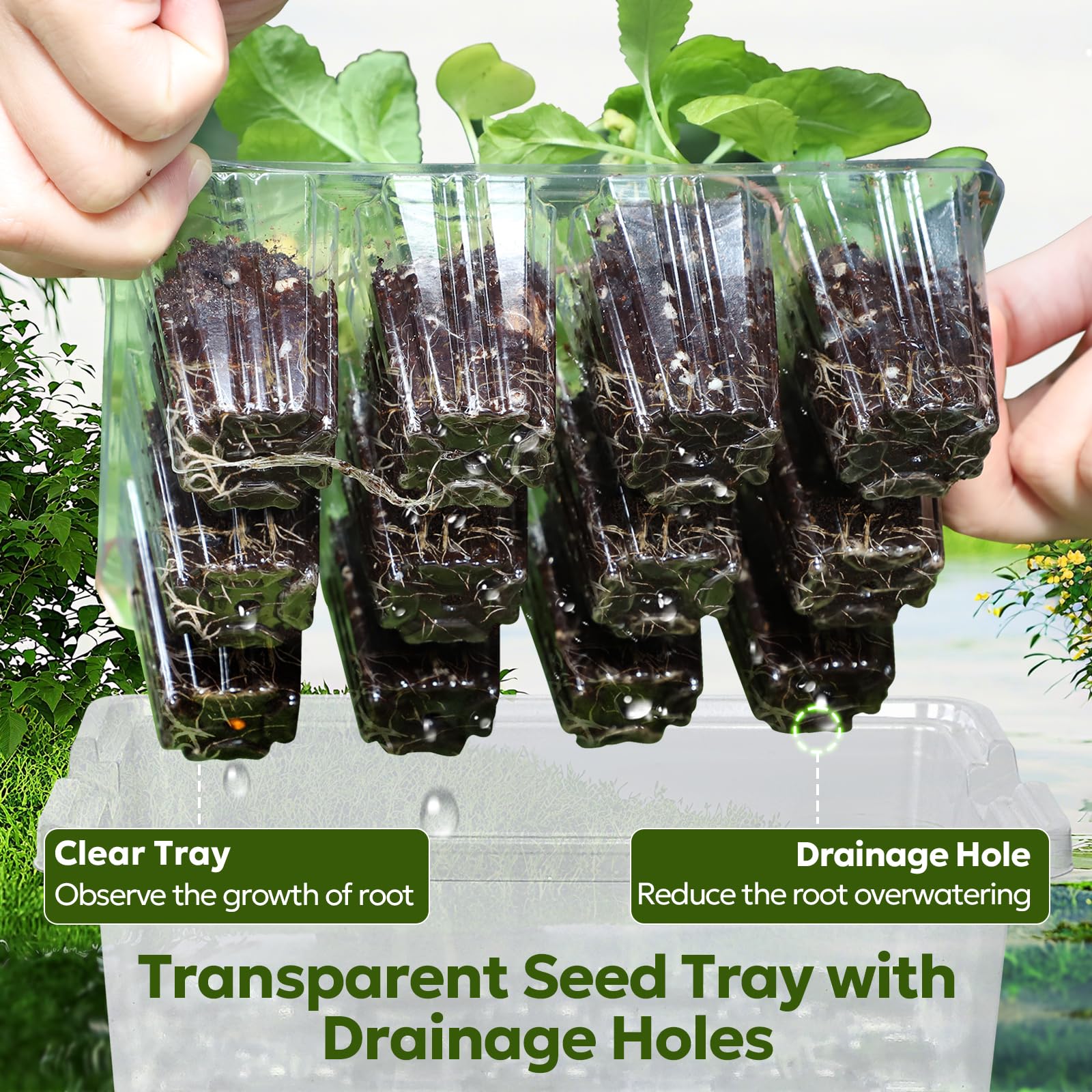 MIXC seed starter kit clear cell tray for easy root viewing