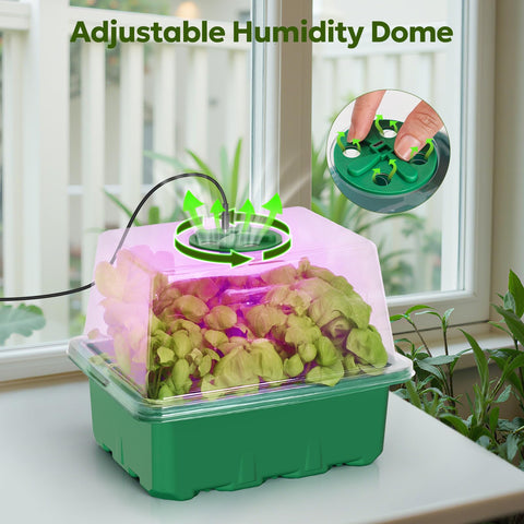 MIXC Seed Starter Kit clear inner tray for gentle handling and monitoring.