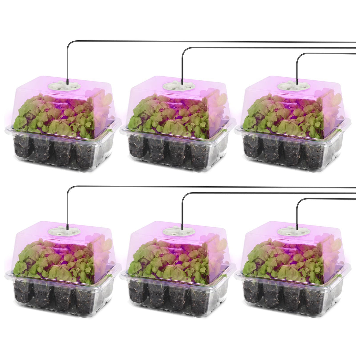 MIXC Seed Starter Kit cover shows a compact seedling greenhouse for indoor starts.