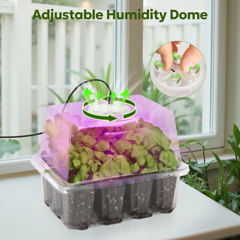 MIXC seed starter kit drainage holes prevent overwatering