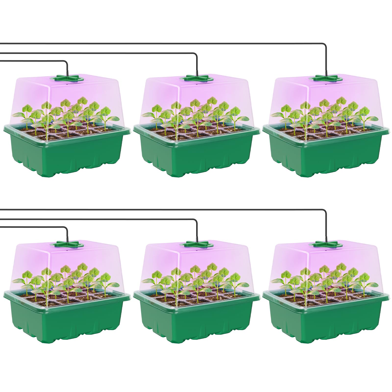 MIXC Seed Starter Kit with elevated humidity dome supports indoor seedling growth.