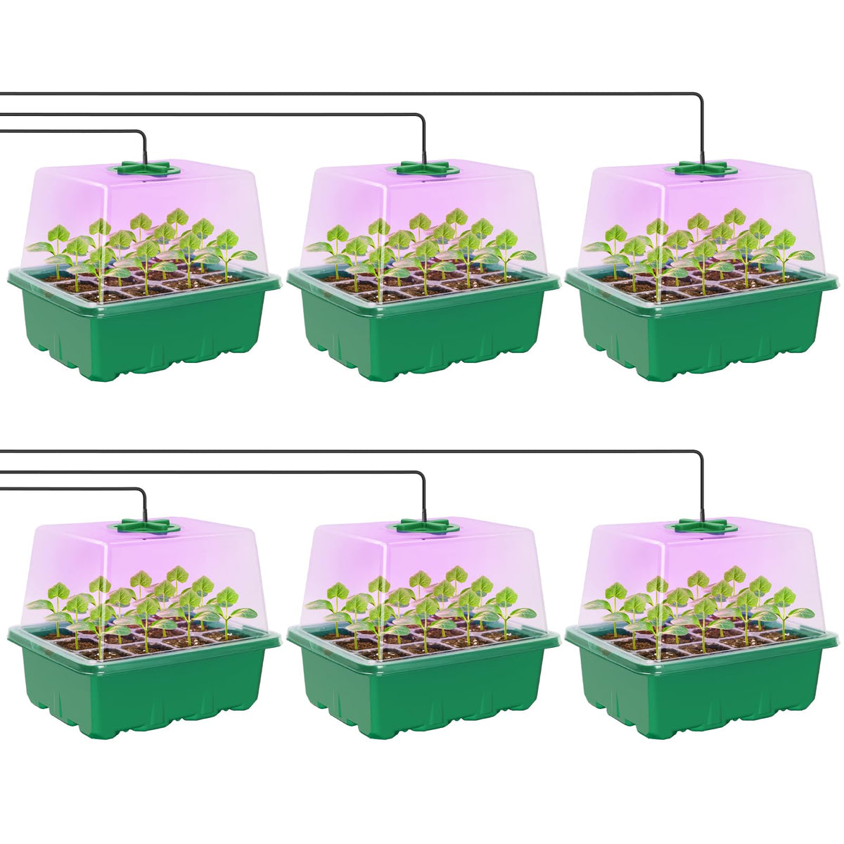 MIXC Seed Starter Kit with elevated humidity dome supports indoor seedling growth.