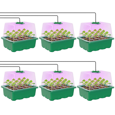 MIXC Seed Starter Kit with elevated humidity dome supports indoor seedling growth.
