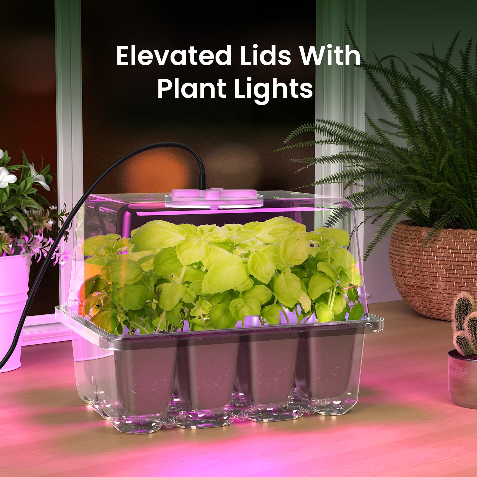 MIXC seed starter kit four-pack expands indoor projects