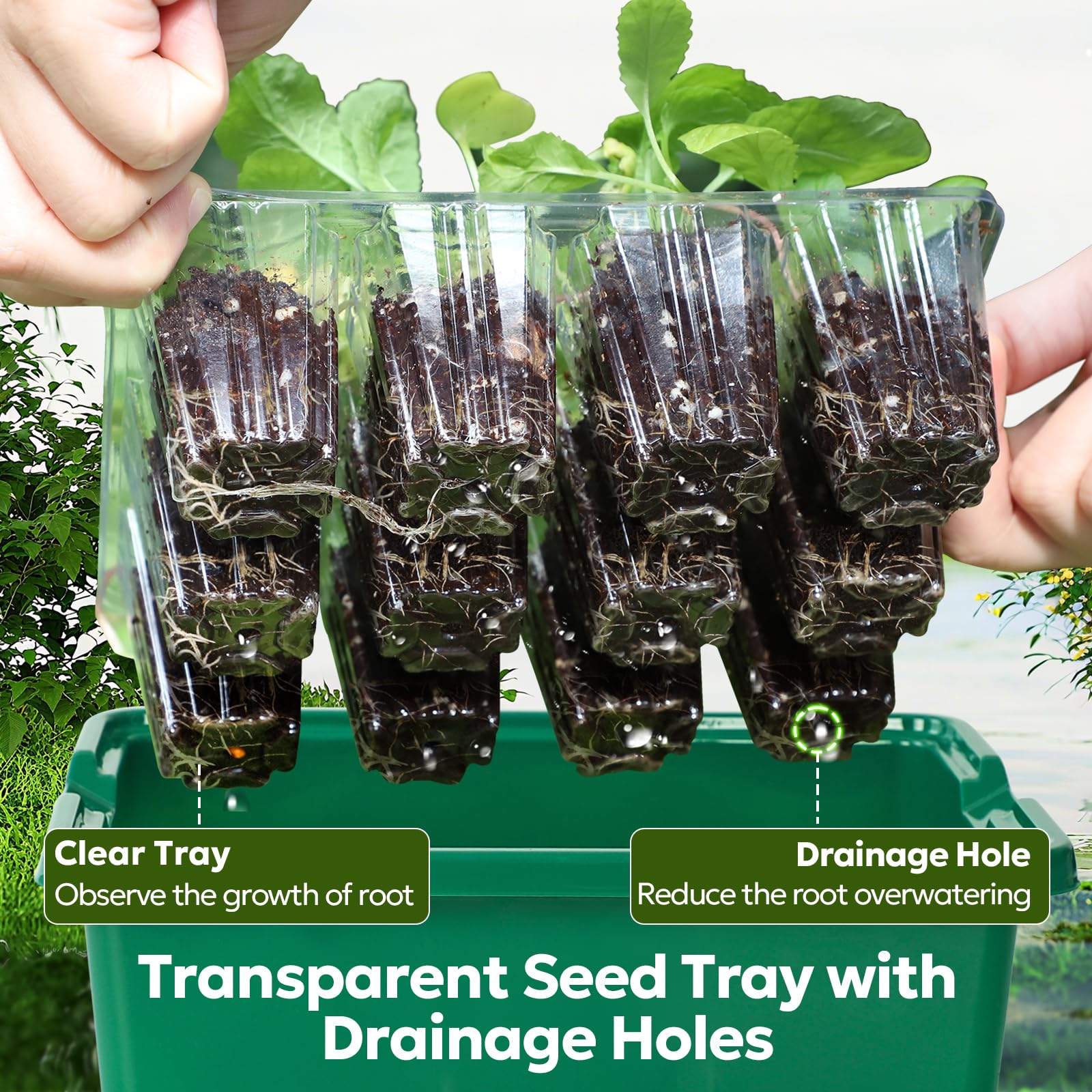 MIXC Seed Starter Kit full-spectrum LED grow light mimics sunlight for healthy seedlings.
