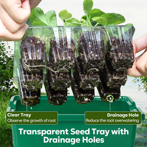 MIXC Seed Starter Kit full-spectrum LED grow light mimics sunlight for healthy seedlings.