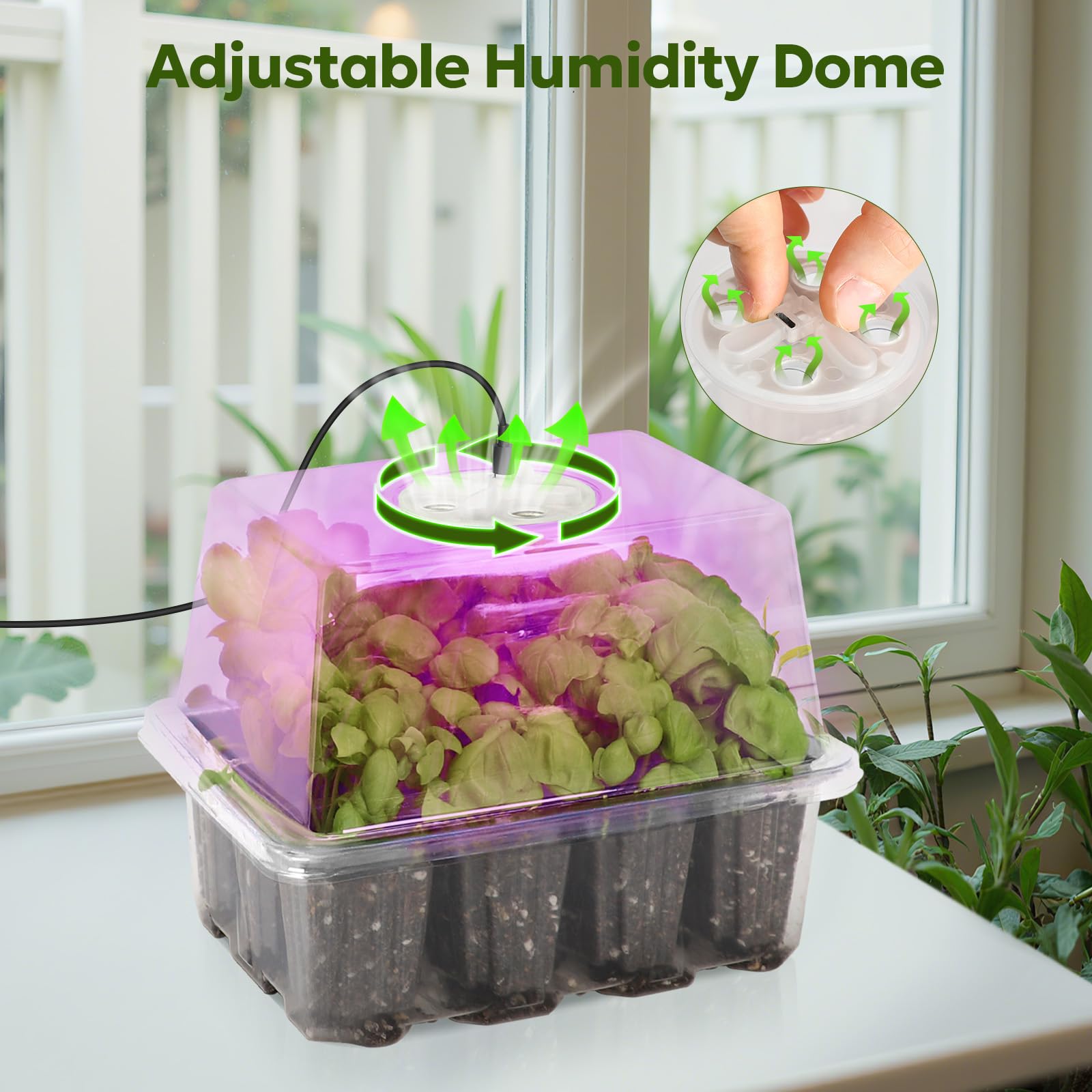 MIXC Seed Starter Kit full-spectrum LED lights boost indoor seedling growth.