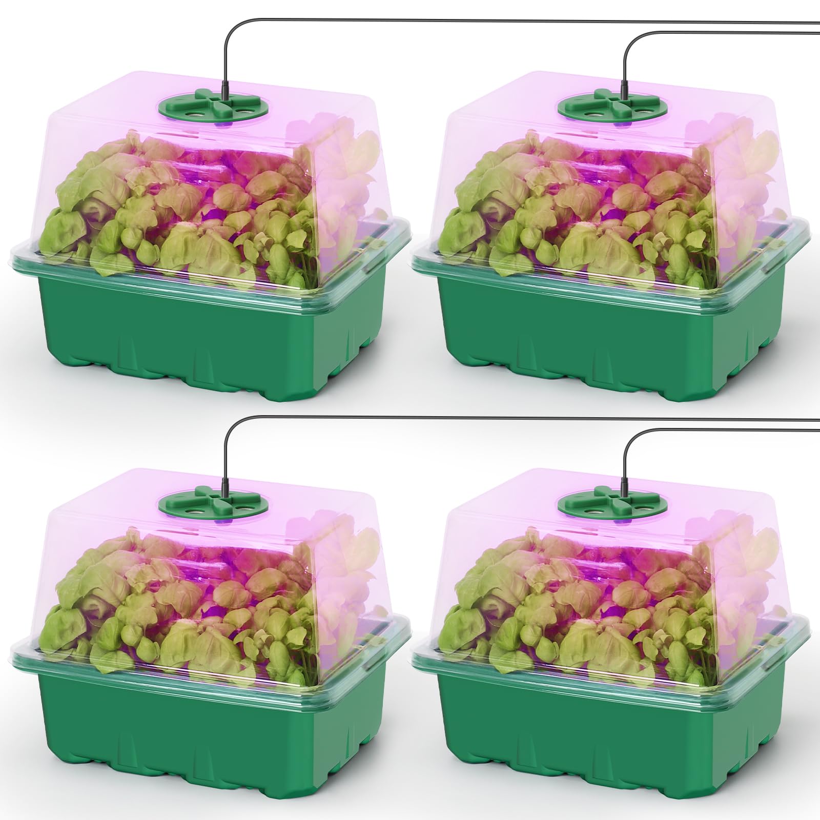 MIXC seed starter kit with grow light for indoor seedling growth.
