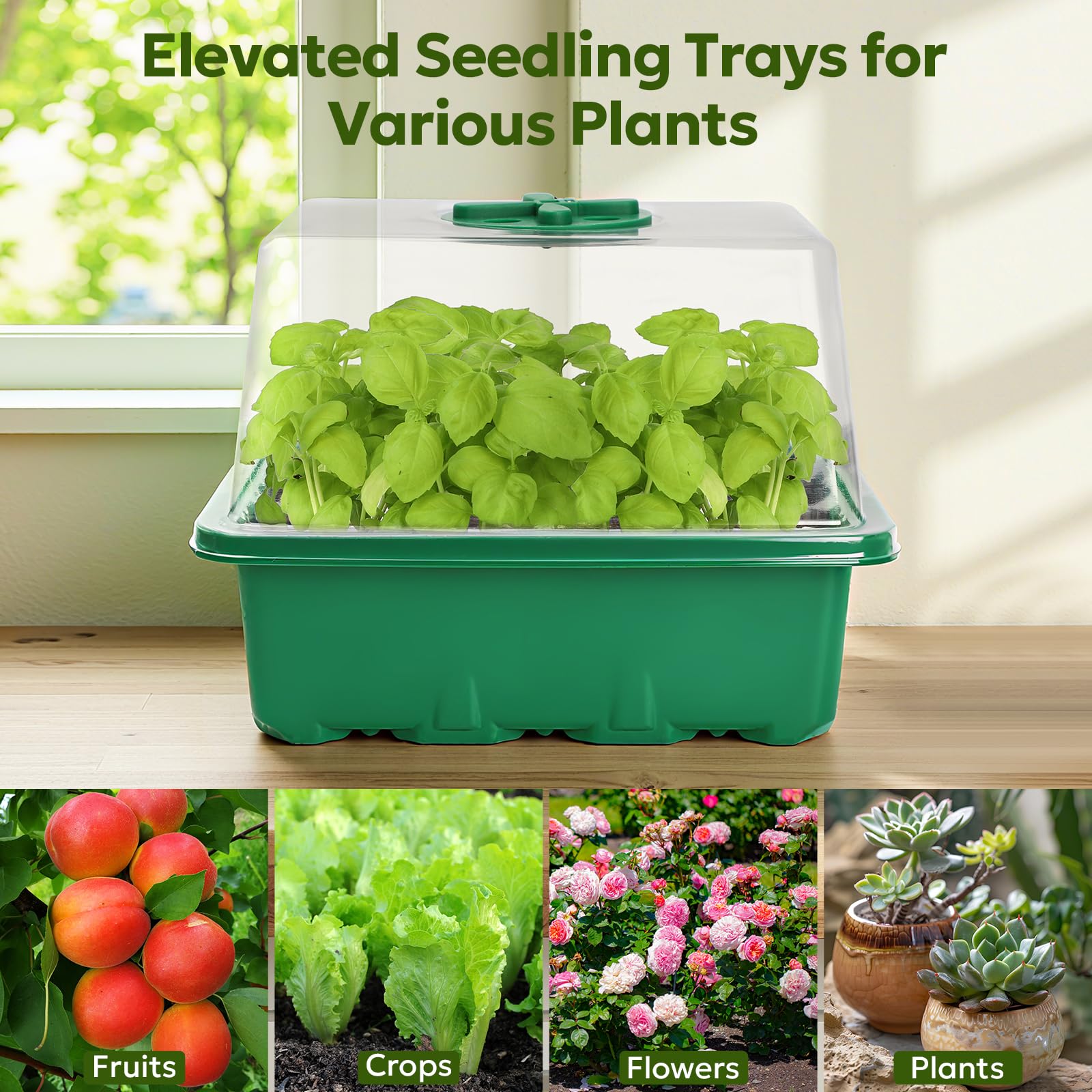 MIXC Seed Starter Kit indoor gardening setup supports year-round seed starting.